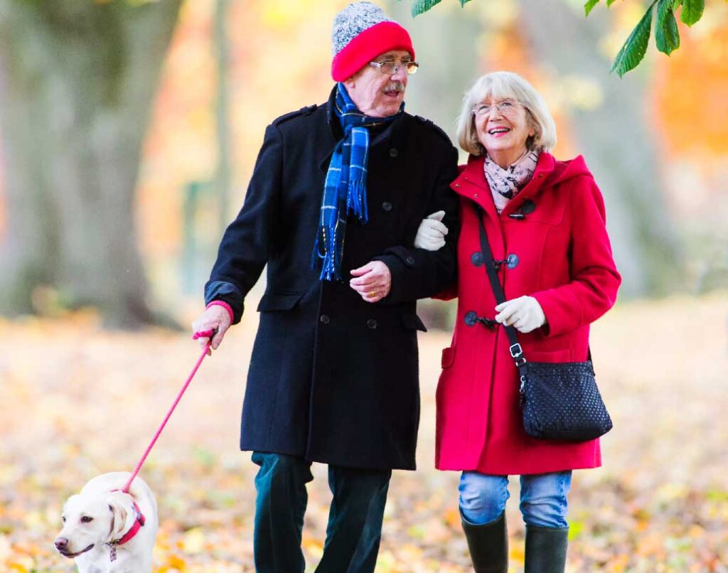 Senior couple walking through the autumn woods in Sydney with their pet dog.