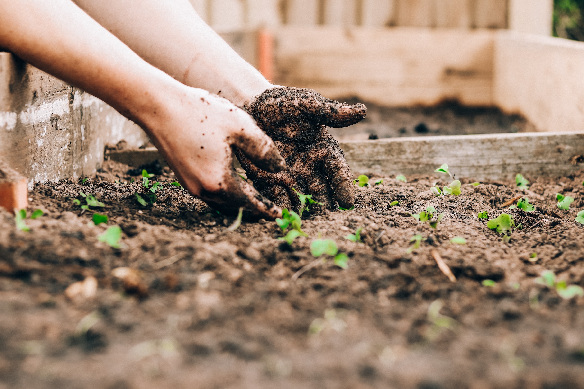 Building a Sustainable Garden on your Retirement Property