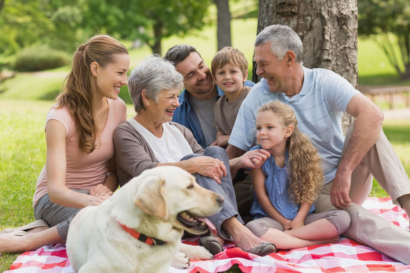 Effective Methods to Transfer Funds to your Kids and Grandkids