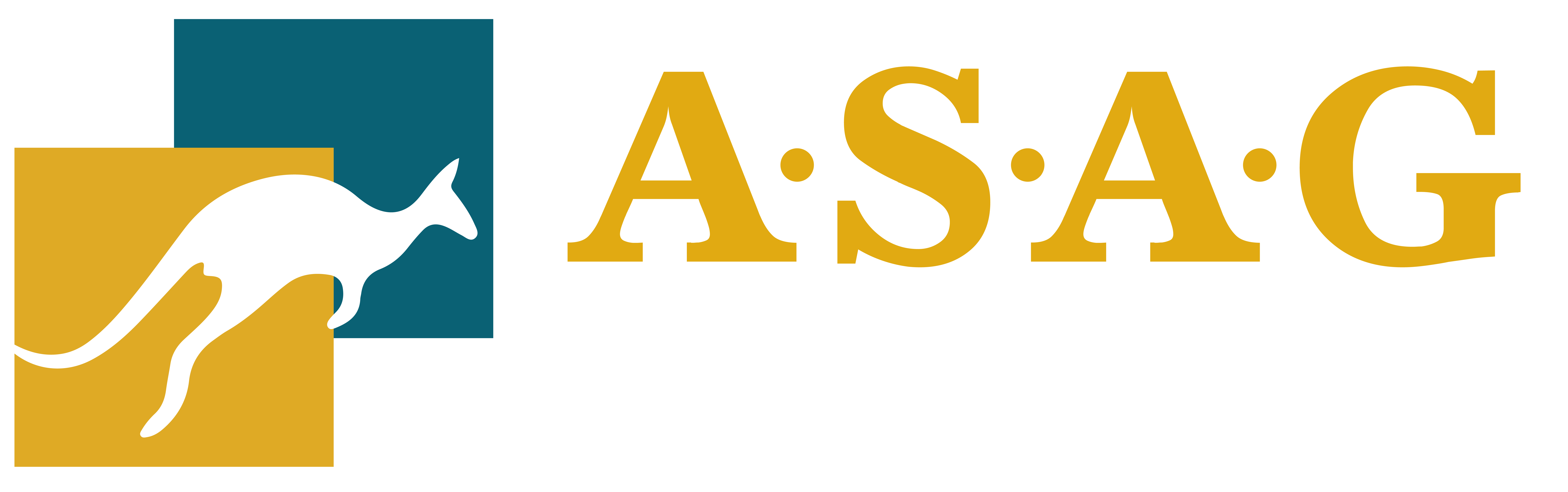 ASAG Logo