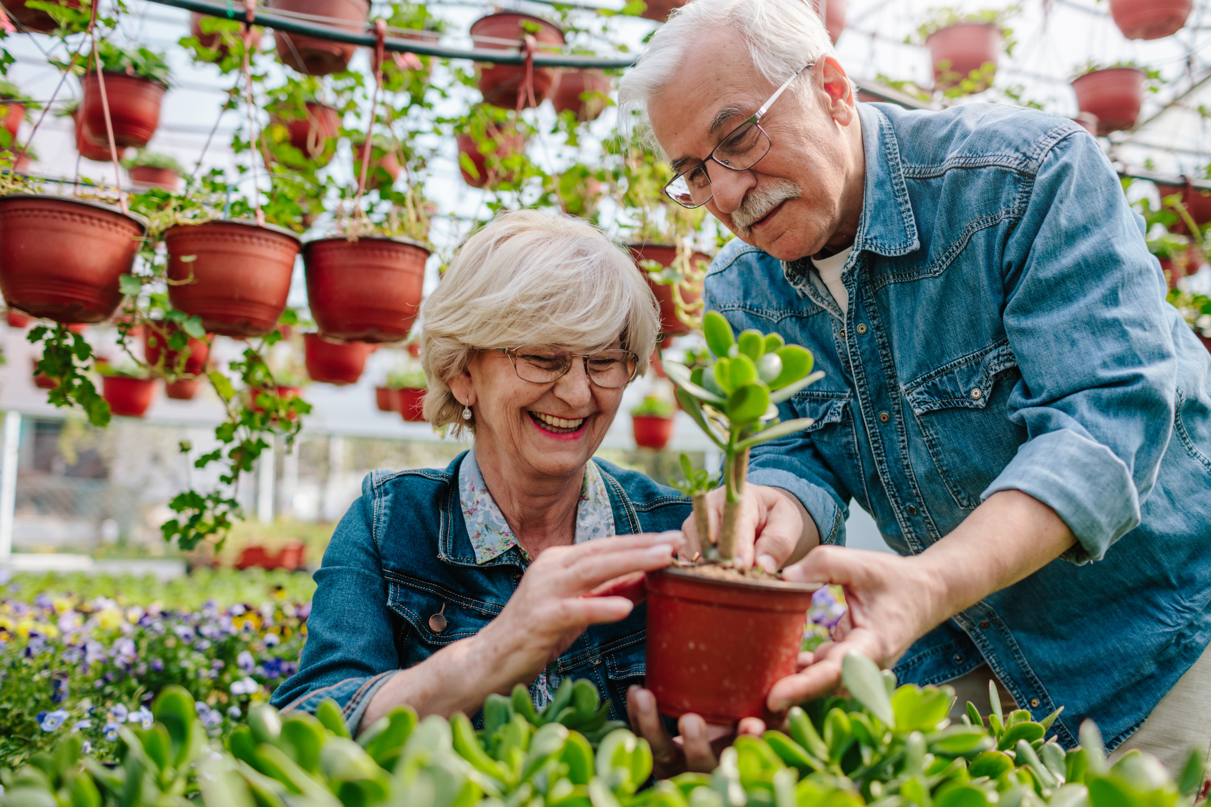 Gardening Safety for Seniors