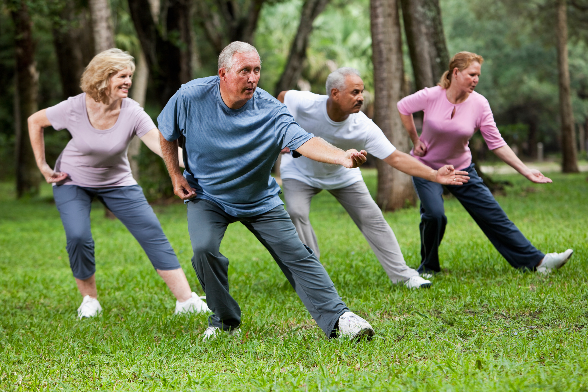 Tai Chi: A Gentle Path to Wellness for Seniors